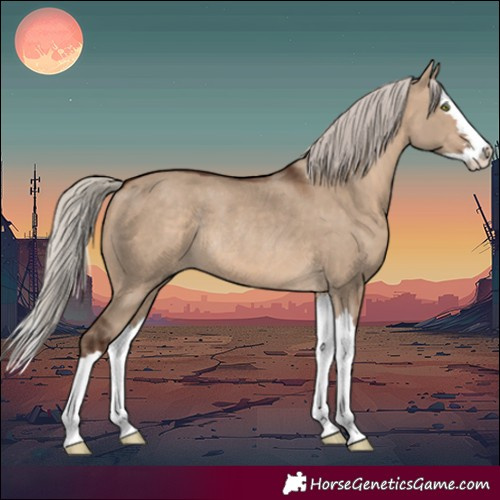 Horse Color:Silver Brown Dun Splash Rabicano 
