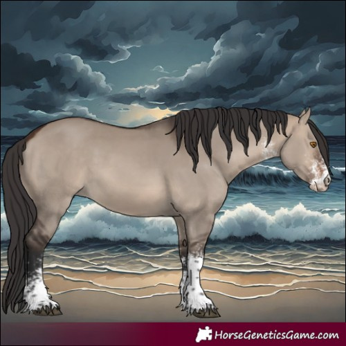 Horse Color:White Spotted Brown Dun Tobiano 