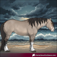 Horse Color:White Spotted Brown Dun Tobiano 