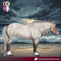 Horse Color:Silver Brown Roan Dun Rabicano