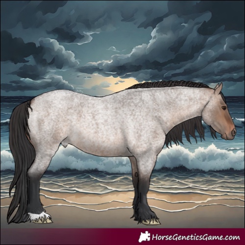 Horse Color:Brown Roan Dun 