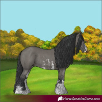 Horse Color:Grullo Sabino Rabicano 