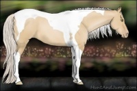 Horse Color:Silver Bay Pearl Dun Tobiano 