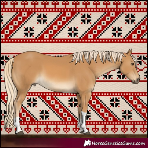 Horse Color:Palomino Tobiano 