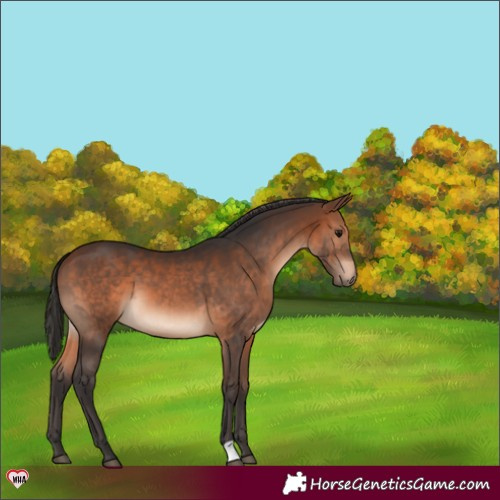 Horse Color:Brown 