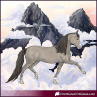 Horse Color:Classic Cream Champagne