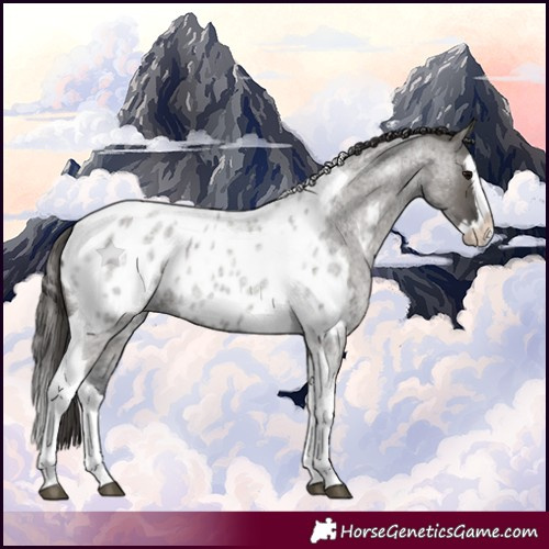 Horse Color:Grullo Roan Splash Tobiano Appaloosa Rabicano 