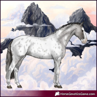Horse Color:Grullo Roan Splash Tobiano Appaloosa Rabicano