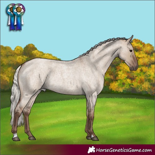 Horse Color:Silver Grullo Roan Rabicano 