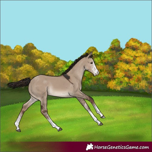 Horse Color:White Spotted Liver Red Dun Tobiano Rabicano