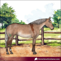 Horse Color:Silver Brown Dun 