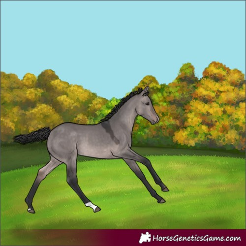 Horse Color:Platinum Brown Dun