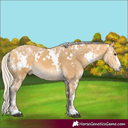 Horse Color:White Spotted Silver Buckskin Ice 