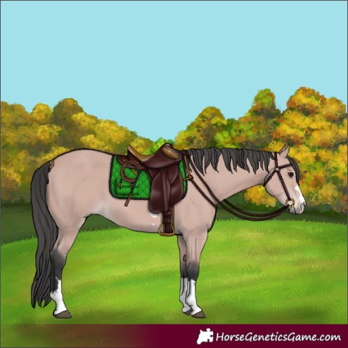 Horse Color:Platinum Bay