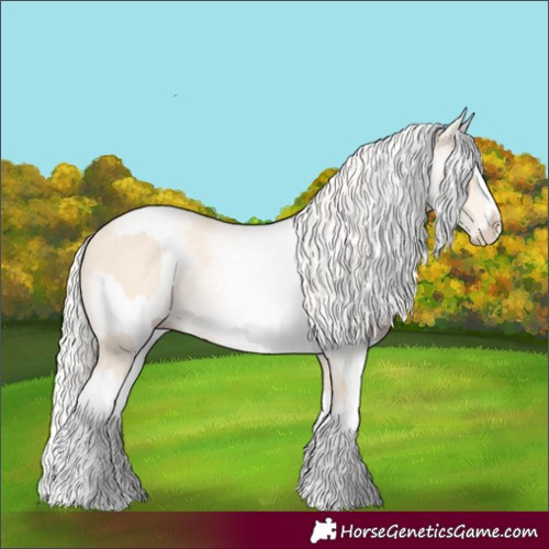 Horse Color:Cremello Splash  and White Spotted Cremello Splash 