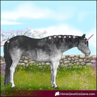 Horse Color:White Spotted Black