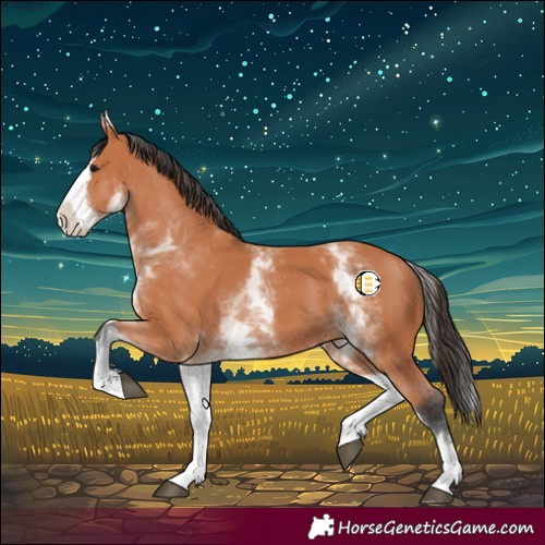 Horse Color:White Spotted Bay Splash 