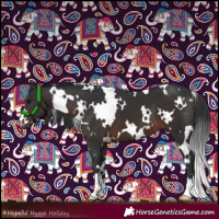 Horse Color:White Spotted Brown 