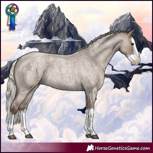 Horse Color:Silver Grullo Roan Splash 