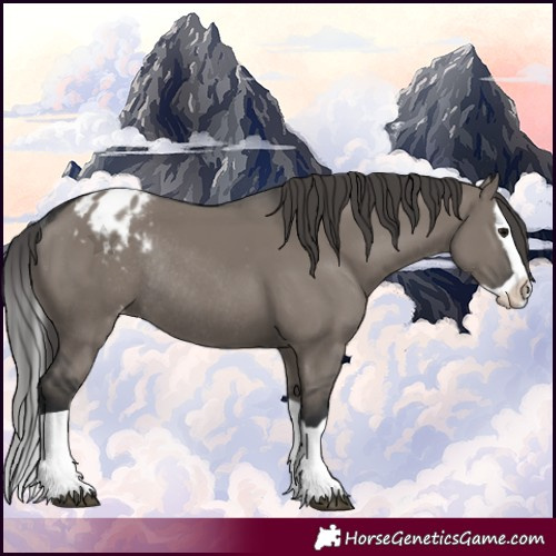 Horse Color:Grullo Splash Appaloosa Rabicano 