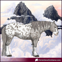 Horse Color:Grullo Splash Blanket Rabicano 