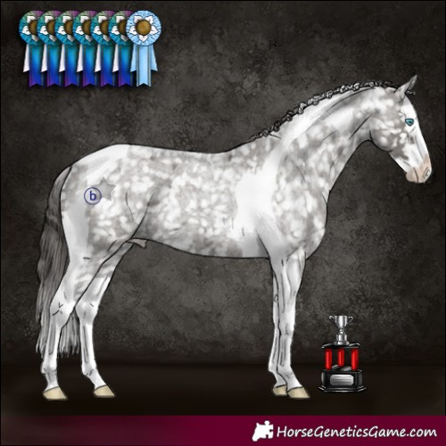 Horse Color:Grullo Roan Splash Tobiano Snowflake VarnishRabicano 