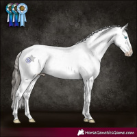 Horse Color:Grullo Roan Splash Tobiano Appaloosa Rabicano