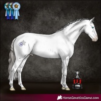 Horse Color:Grullo Roan Splash Tobiano Appaloosa Rabicano