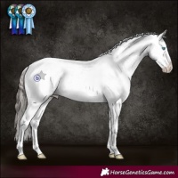 Horse Color:Grullo Roan Splash Tobiano Appaloosa Rabicano 