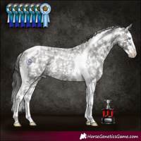 Horse Color:Grullo Roan Splash Tobiano Snowflake VarnishRabicano 