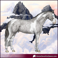 Horse Color:Grullo Roan Splash Tobiano Appaloosa Rabicano 