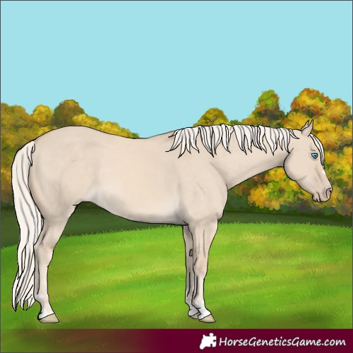 Horse Color:Cremello Dun 