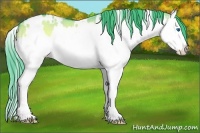 Horse Color:Watercolor White Spotted Grullo Onyx Splash 