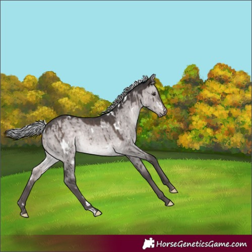 Horse Color:Platinum White Spotted Silver Brown Dun Rabicano Brindle 