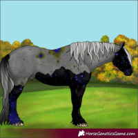 Horse Color:ERROR: UNKNOWN ANOMALY