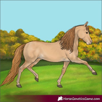 Horse Color:Red Dun 