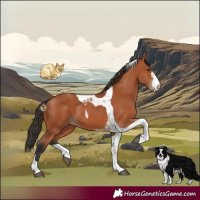 Horse Color:Bay Tobiano