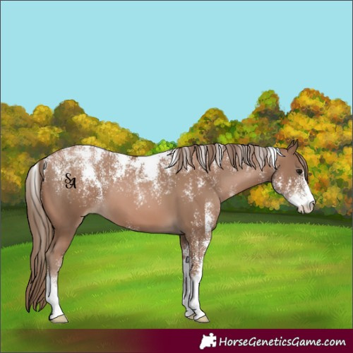 Horse Color:Powder White Black Pearl 