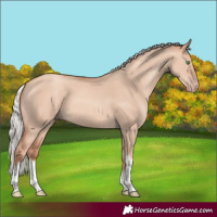 Horse Color:White Spotted Silver Sable Champagne Dun Tobiano 