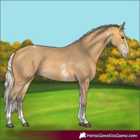 Horse Color:Silver Buckskin Sabino Tobiano Rabicano 