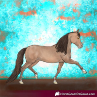 Horse Color:Amber Champagne 