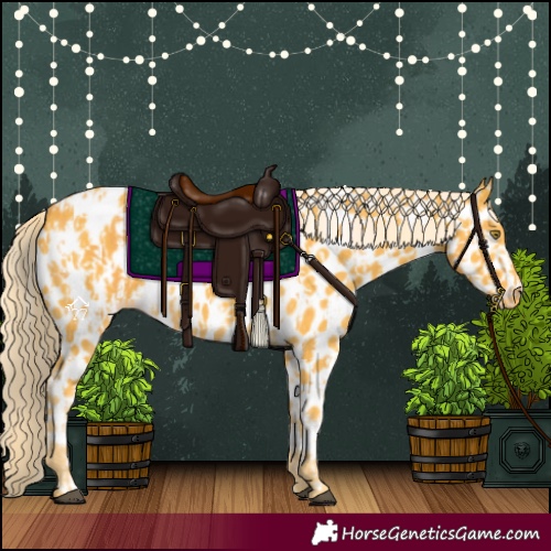 Horse Color:Palomino Near Leopard  and Palomino Near Leopard 