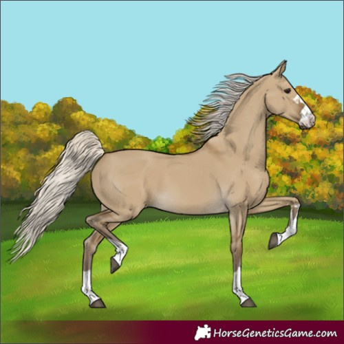 Horse Color:Silver Smoky Grullo 