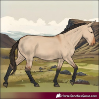 Horse Color:Bay Dun