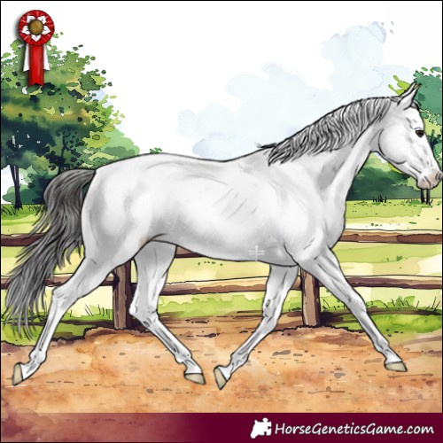 Horse Color:Smoky Black Sabino Appaloosa 