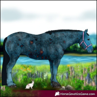Horse Color:ERROR: UNKNOWN ANOMALY