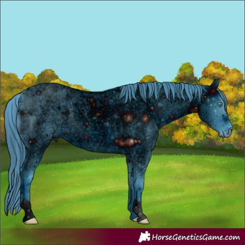 Horse Color:ERROR: UNKNOWN ANOMALY