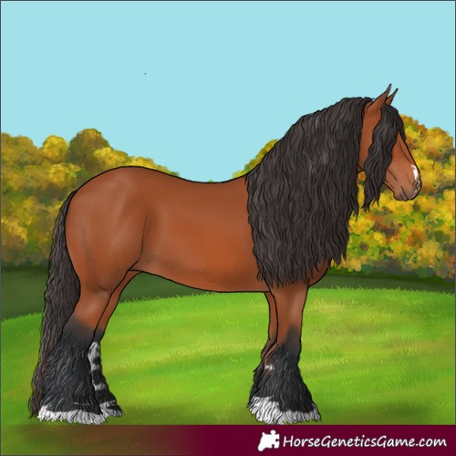 Horse Color:Unknown 
