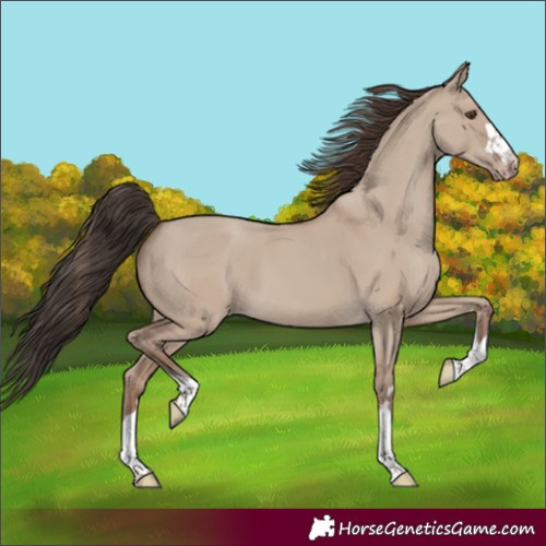 Horse Color:Classic Champagne Dun 