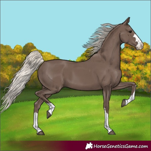 Horse Color:Silver Black 